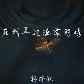 Download track 在我耳边温柔的哼 (加速版伴奏) 林沐歌廖光明