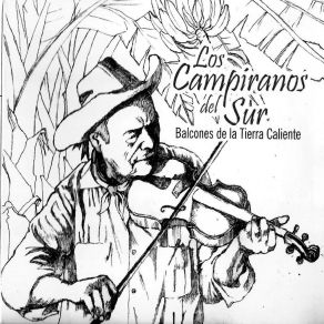 Download track Los 2 Hermanos Compadres (Gusto) Los Campiranos