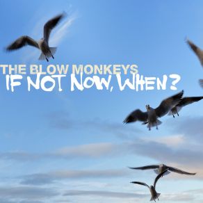 Download track Sun Is In The Sky The Blow Monkeys