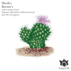 Download track Barum's (Summer (Brendon Collins) & Swyft Remix) ShoshoThe Summer