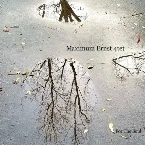 Download track Window Glass Maximum Ernst 4tet