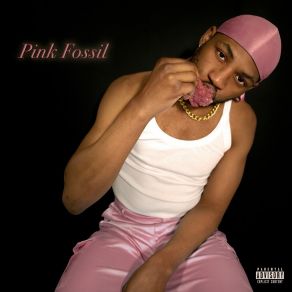 Download track Pink Bandana Mr PigeonsNjko Wallace