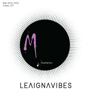 Download track Vibez (Original Mix) LeaIgnaVibes