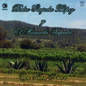 Download track Golondrina Pedro Grajeda Lopez