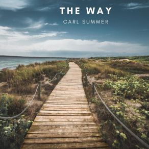 Download track Bring Back Time Carl Summer