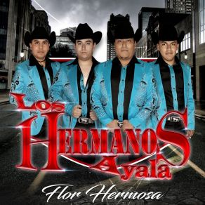 Download track Como Paloma Los Hermanos Ayala