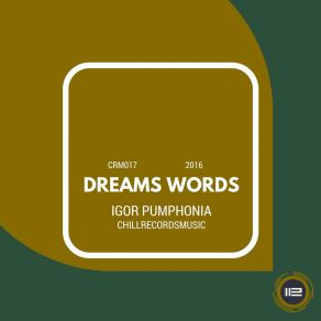 Download track Paradox Igor Pumphonia