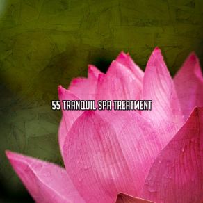 Download track Tranquil Home Serenity Spa Music Relaxation