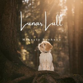 Download track Lunar Lull Mikayla Pacheco