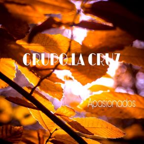 Download track Triste Despedida Grupo La Cruz