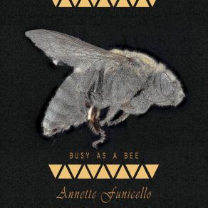 Download track Swingin' & Surfin' Annette