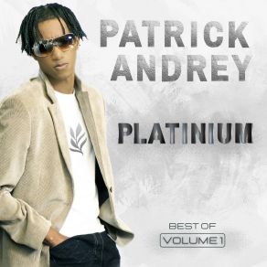 Download track Je T'aime Trop Tu Vois Patrick Andrey