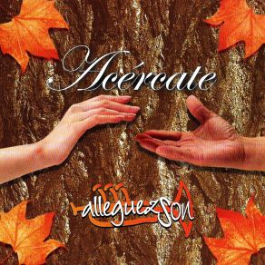 Download track El Camino De La Vida Alleguez Son