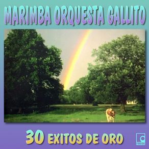 Download track Cunen En Fiesta / El Mishito MARIMBA ORQUESTA GALLITO