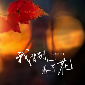 Download track 我替别人养了花 (伴奏) 懒大王