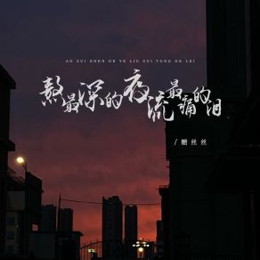 Download track 熬最深的夜流最痛的泪 (DJ彭锐版) 糖丝丝