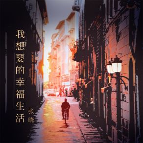 Download track 我想要的幸福生活 (伴奏) Xiao Zhang