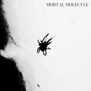 Download track Dissolution Mortal Molecule