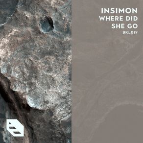 Download track Where Did She Go (Instrumental Radio Edit) Insimon