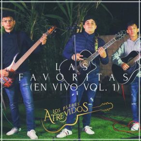 Download track Y Ahora Te Vas (En Vivo) Los Plebes Atrevidos