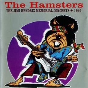 Download track Star Spangled Banner The Hamsters