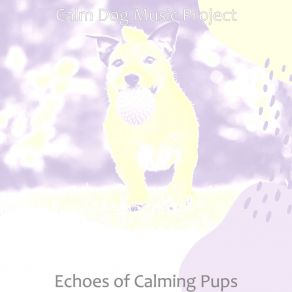 Download track Amazing Backdrops For Calming Pups Calm Dog