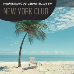 Download track Harmonious Coastal Reflection New York Club