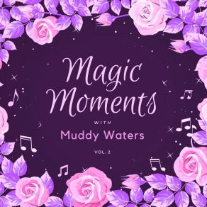 Download track She Moves Me Muddy Waters