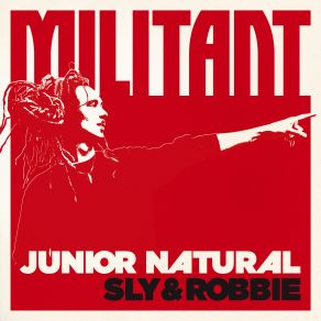 Download track Beautiful Creation Robbie Rivera, Sly!, Junior Natural