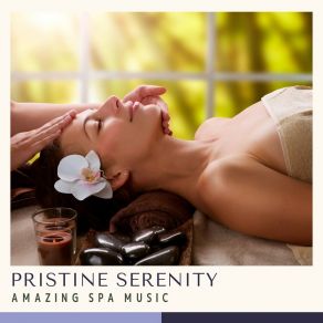 Download track Gentle Valley Silence Amazing Spa Music