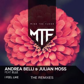 Download track Feel Like You (Hm8 Vs. Bisquix Remix) Elle