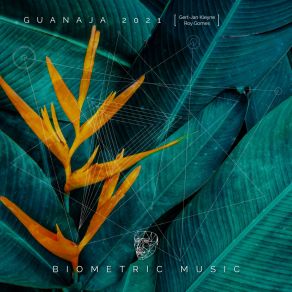 Download track Guanaja 2021 (Radio Edit) Roy Gomes