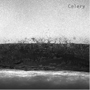 Download track Washing Celery