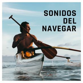 Download track Melodías Del Marinerito Armonías Del Mar