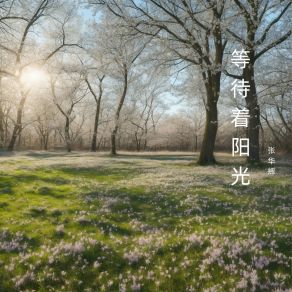 Download track 等待着阳光 张华辉