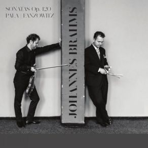 Download track Clarinet Sonata NO. 1, Op. 120 NO. 1: II. Andante Un Poco Adagio (Arr. For Viola And Piano By Johannes Brahms) Milan Pala, Ladislav Fanzowitz