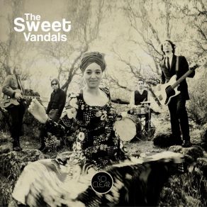 Download track In Transit Sweet Vandals