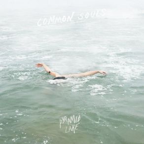 Download track Roots / / Habit Common Souls