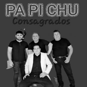 Download track Sin Ti No Valgo Nada PA-PI-CHU