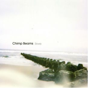 Download track Slowly Chimp BeamsDrothea Tachler