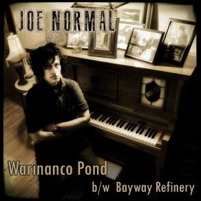 Download track Bayway Refinery (At The Refinery) Normal Joe