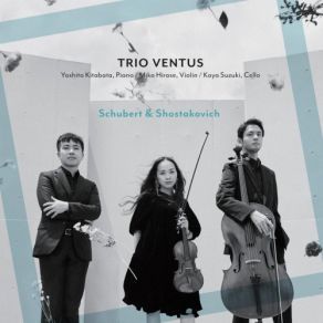 Download track Piano Trio No. 2 In E-Flat Major, Op. 100: IV. Allegro Moderato Trio Ventus