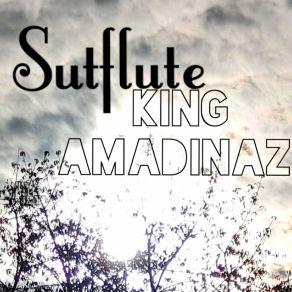 Download track King Amadinaz Sutflute