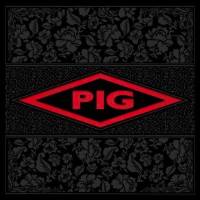 Download track I Can't Go For That (No Can Do) Pig