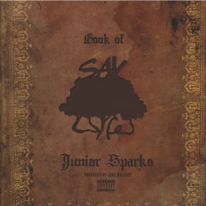 Download track Make Believe Junior Sparks