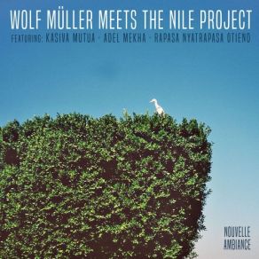 Download track Moso Radido Wuod Ndege (Nyatiti) The Nile Project, Wolf Müller