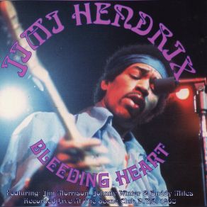 Download track Morrison? S Lament Jimi Hendrix