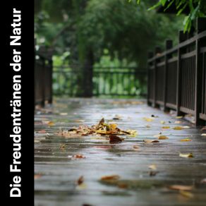 Download track Gehen Im Regen Schlafregengeräusche