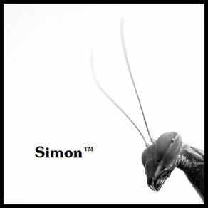 Download track Simon™ - Armo Simon Trademark (™)