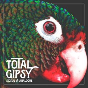 Download track Ergo Sum Total Gipsy